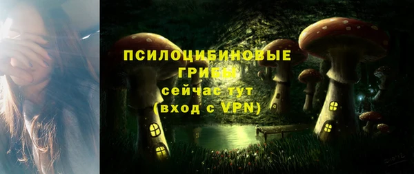2c-b Аркадак