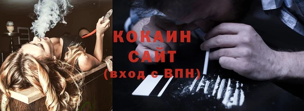 кокс Алексин